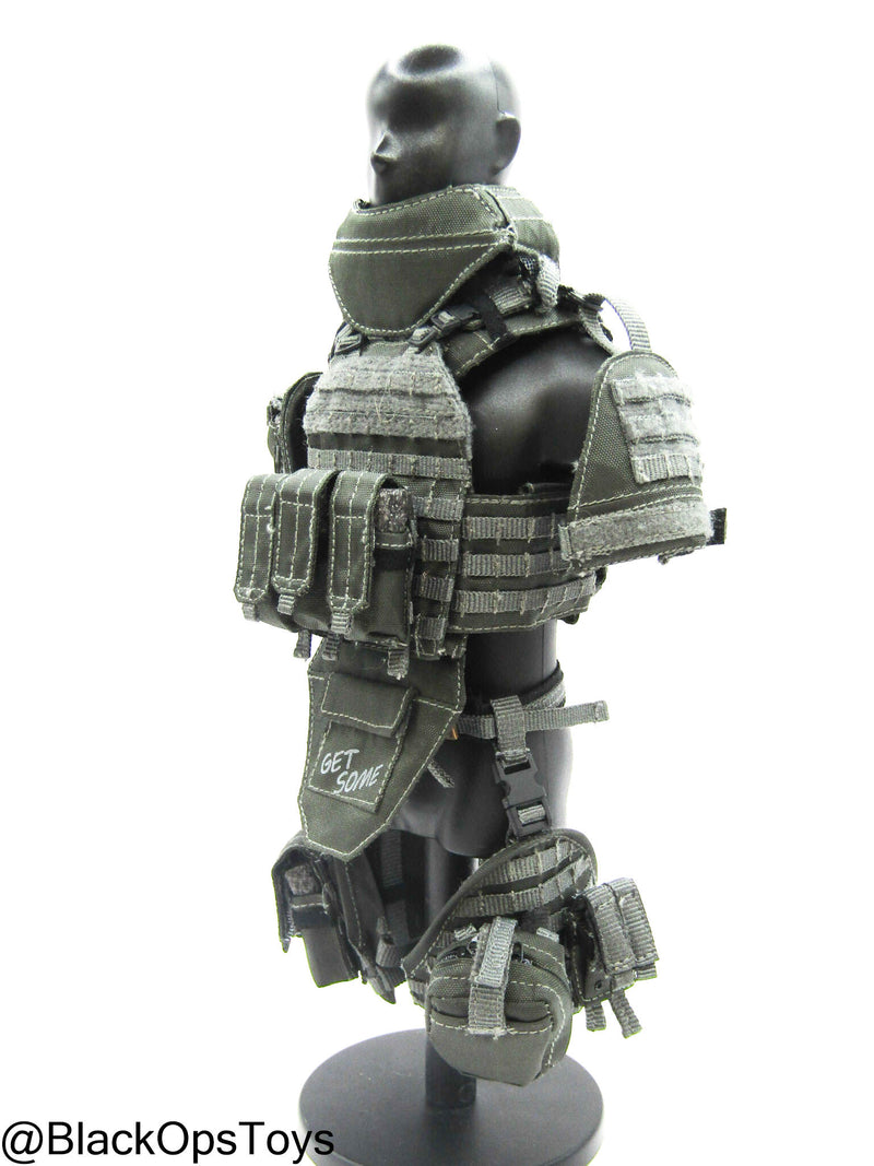 Load image into Gallery viewer, ZERT AMG Juggernaut - Wolf Grey MOLLE Plate Carrier &amp; Pouch Set
