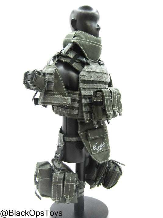 ZERT AMG Juggernaut - Wolf Grey MOLLE Plate Carrier & Pouch Set