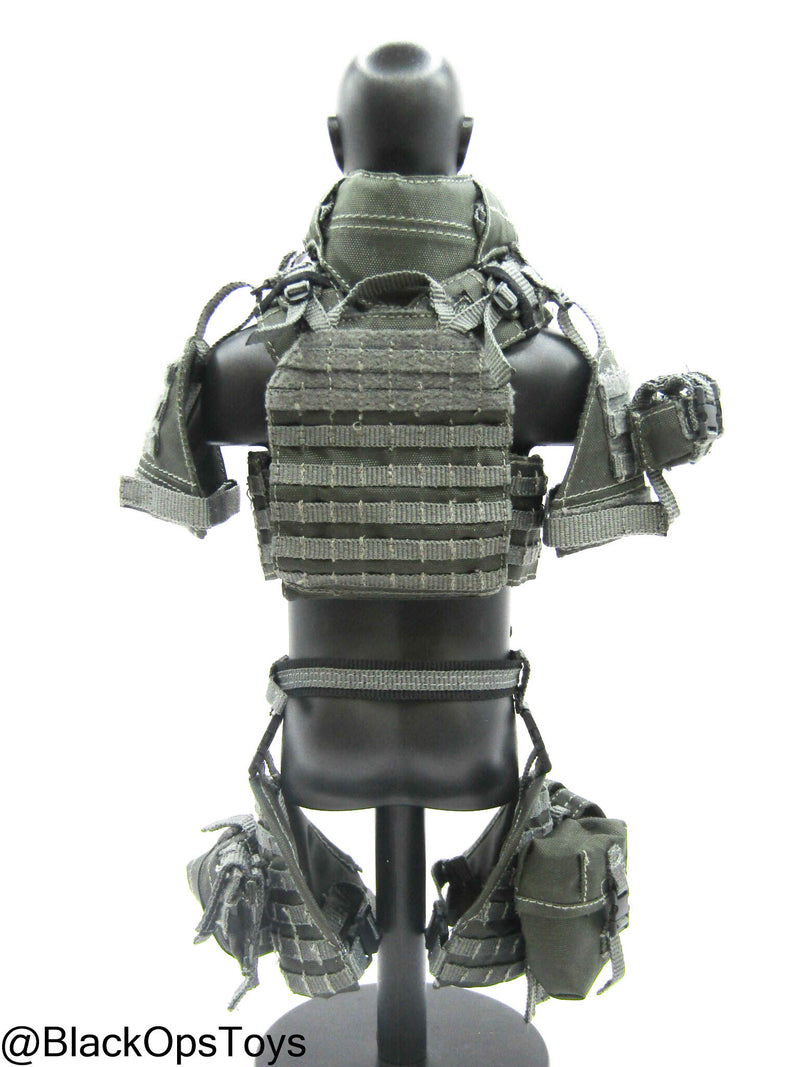 Load image into Gallery viewer, ZERT AMG Juggernaut - Wolf Grey MOLLE Plate Carrier &amp; Pouch Set
