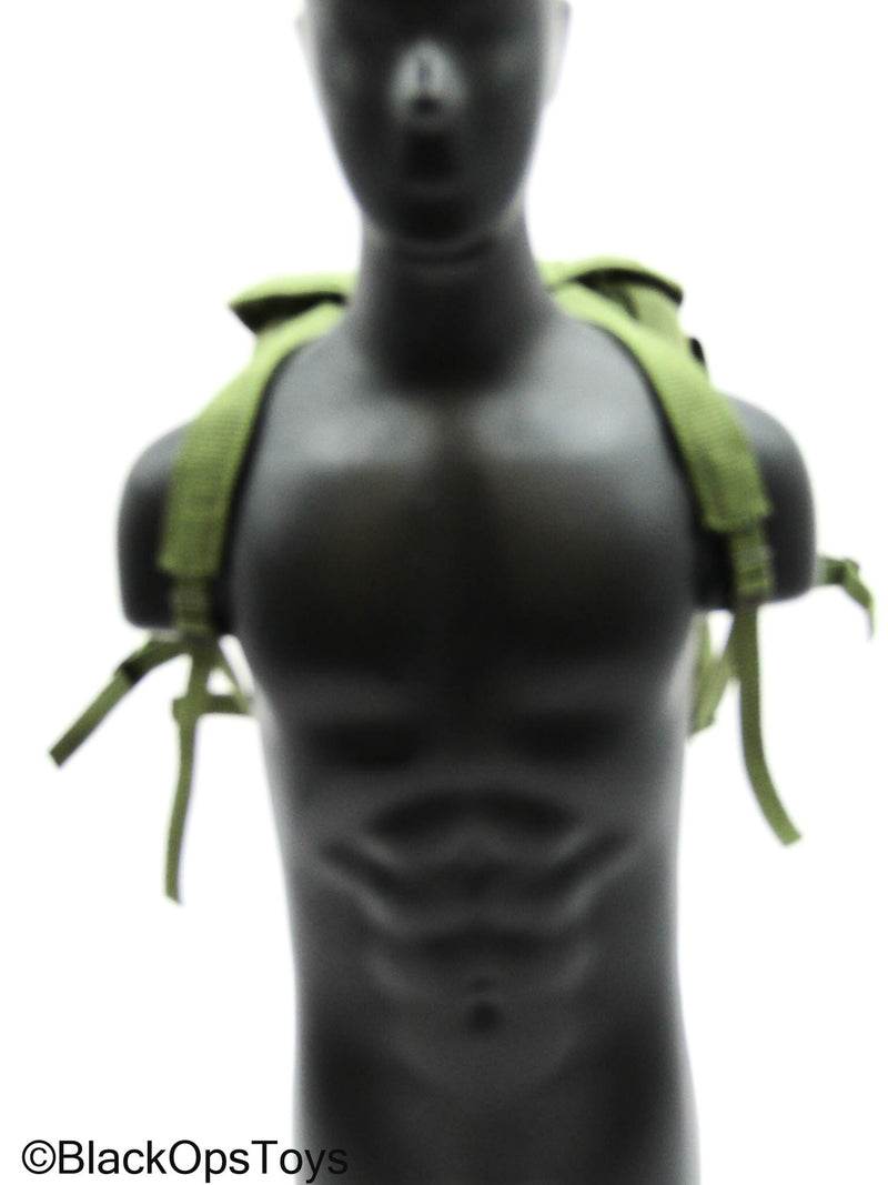 Load image into Gallery viewer, Vietnam US Army LRRP - Green Backpack
