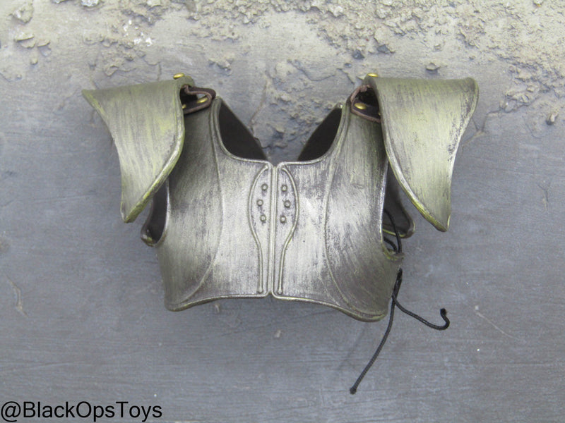 Load image into Gallery viewer, Greek Warrior Troy - Metal Armor Set w/Shield &amp; Sword Type 1
