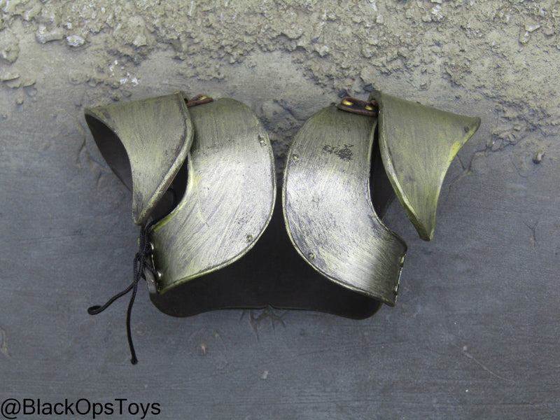Load image into Gallery viewer, Greek Warrior Troy - Metal Armor Set w/Shield &amp; Sword Type 1
