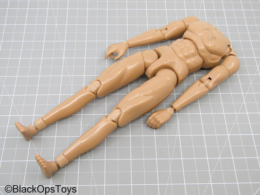 Male Base Body (BBI)