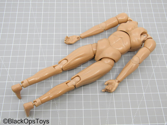 Male Base Body (BBI)