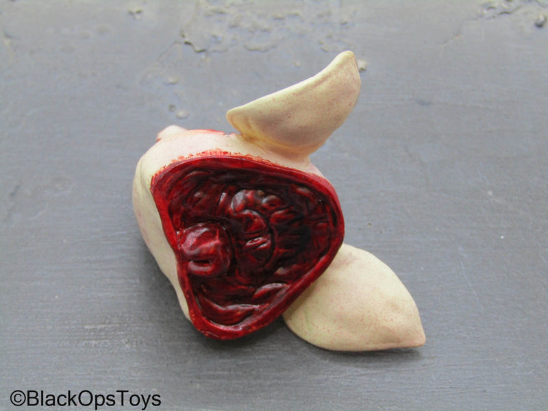 Load image into Gallery viewer, New York Butcher - Pig&#39;s Head w/Nail &amp; Note
