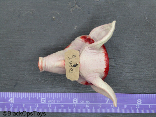 New York Butcher - Pig's Head w/Nail & Note