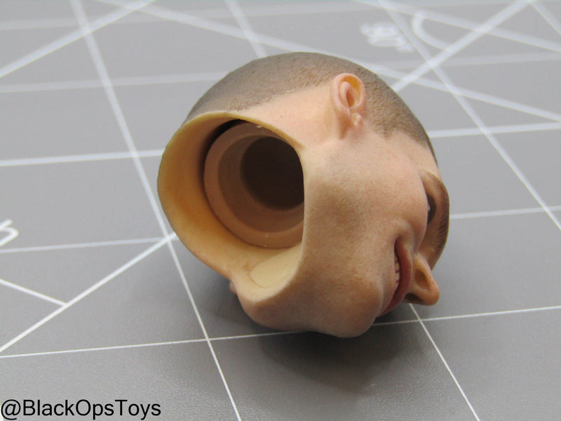 Load image into Gallery viewer, Male Headsculpt In Sean William Scott Likeness (DAM Toys)
