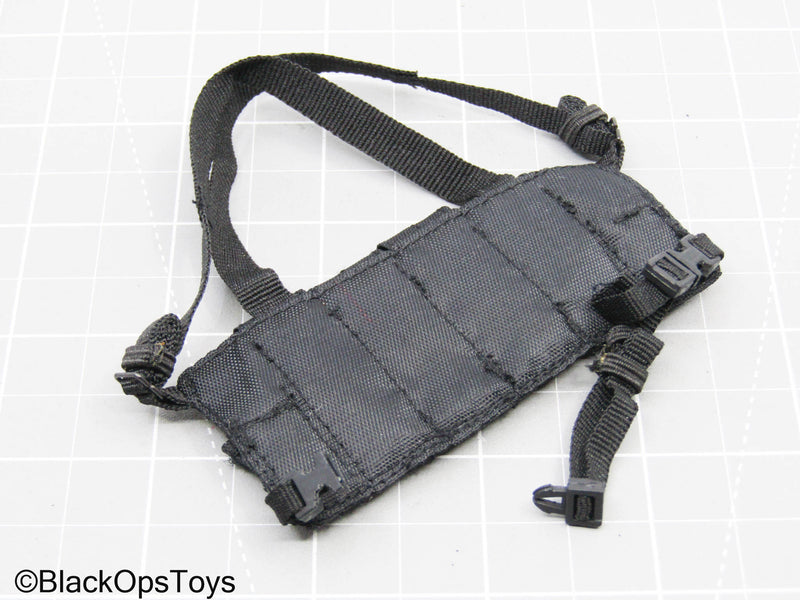 Load image into Gallery viewer, BHD Chest Rig
