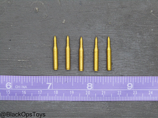 .50 BMG Rounds (x5)