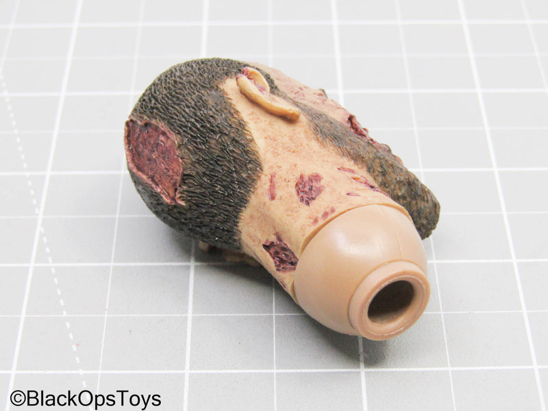 Load image into Gallery viewer, Zombie Male Headsculpt
