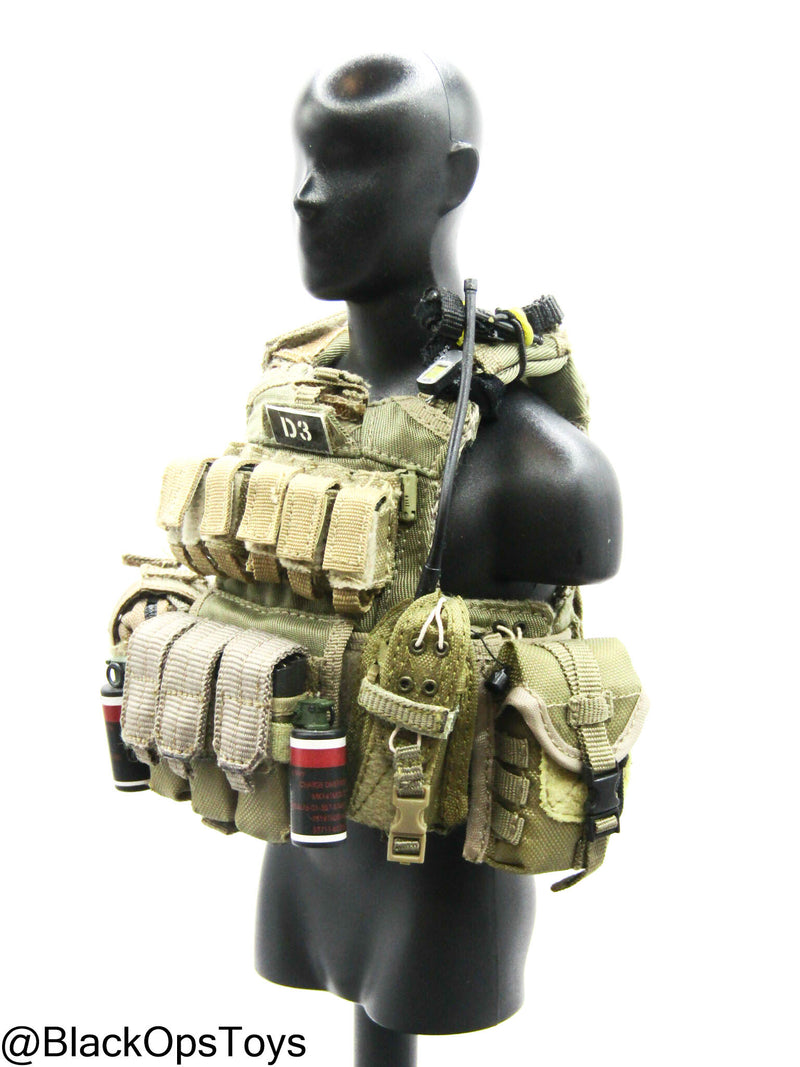 Load image into Gallery viewer, Pro Built Custom FDE Tan MOLLE Plate Carrier w/Gear Set
