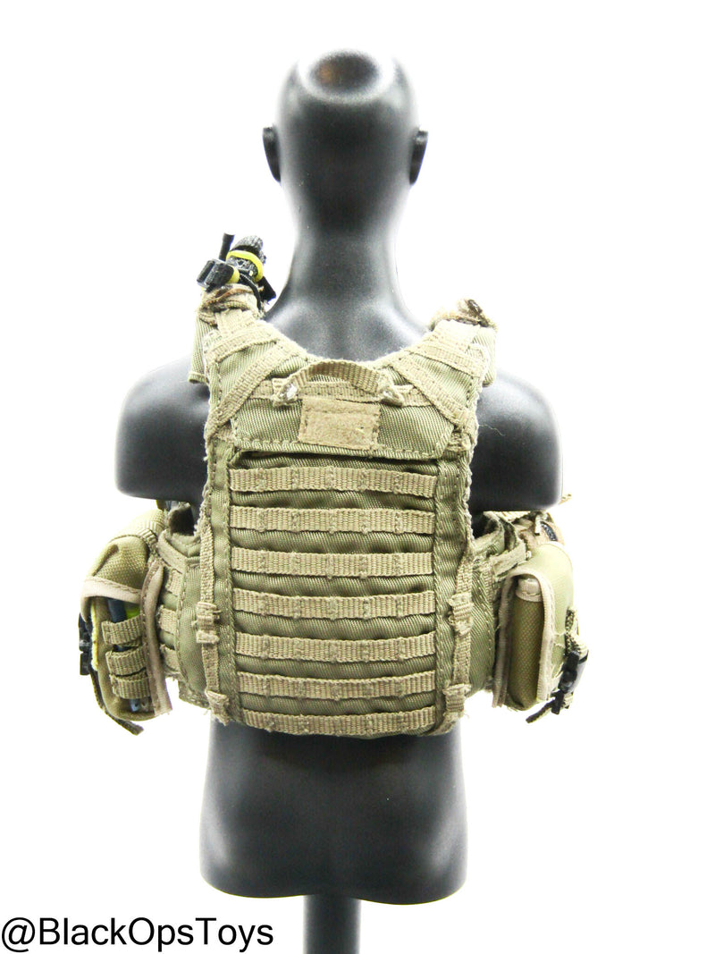 Load image into Gallery viewer, Pro Built Custom FDE Tan MOLLE Plate Carrier w/Gear Set

