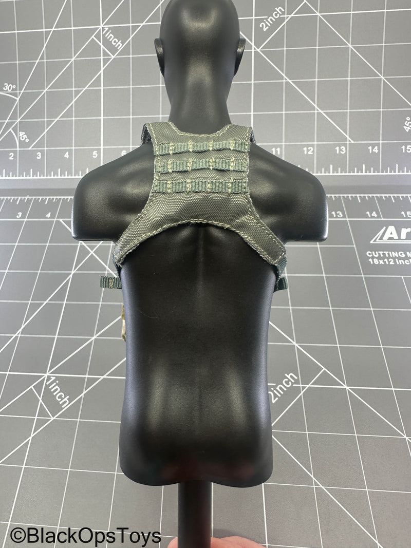 Load image into Gallery viewer, SMU - Coalition Forces - Modular Bino Chest Rig Set

