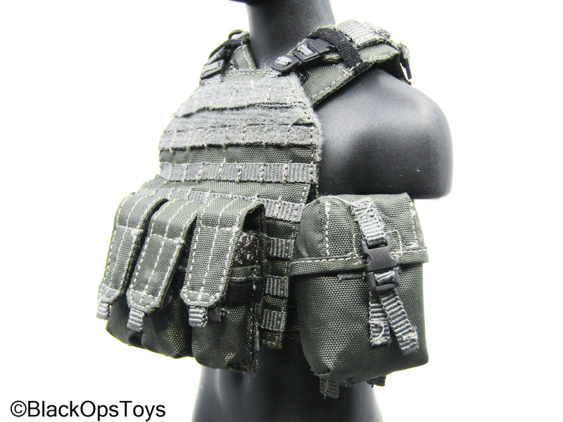 Load image into Gallery viewer, Grey Plate Carrier Vest w/Pouch Set
