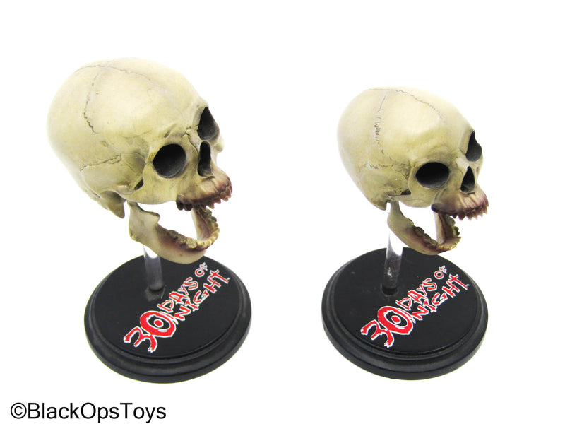 Load image into Gallery viewer, 30 Days Of Night - Male &amp; Female Mini Vampire Skull Set
