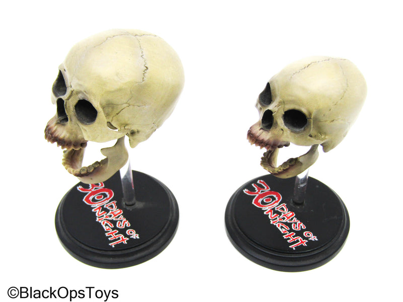Load image into Gallery viewer, 30 Days Of Night - Male &amp; Female Mini Vampire Skull Set
