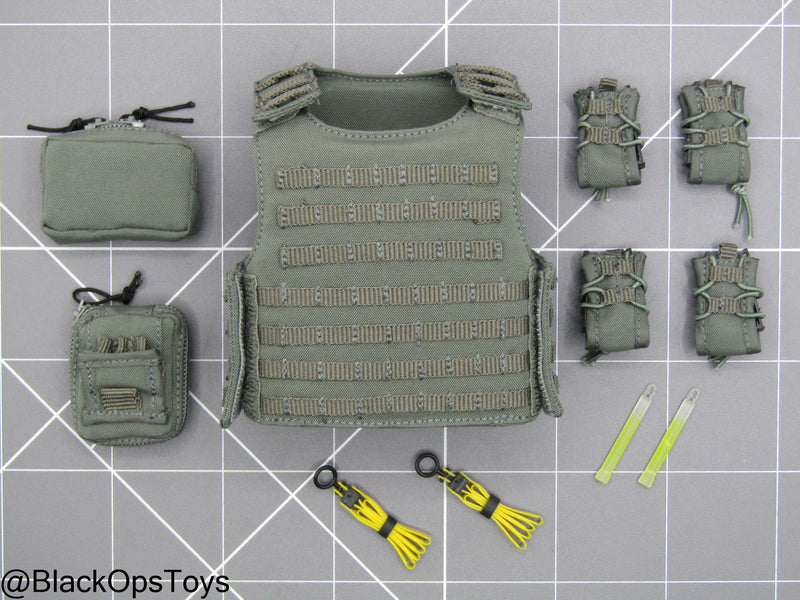 Load image into Gallery viewer, Damnation - The American Agent - Grey MOLLE Plate Carrier w/Pouch Set
