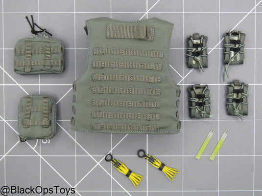Damnation - The American Agent - Grey MOLLE Plate Carrier w/Pouch Set