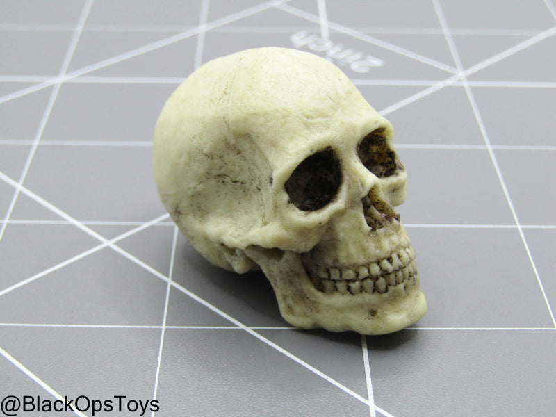 Load image into Gallery viewer, Indiana Jones - Skull

