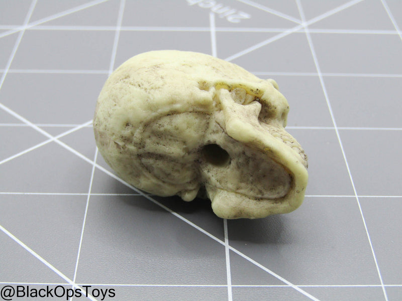 Load image into Gallery viewer, Indiana Jones - Skull
