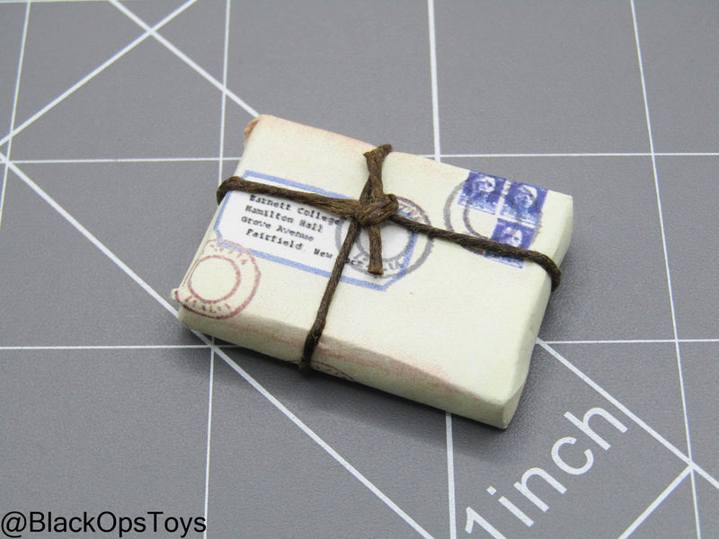 Load image into Gallery viewer, Indiana Jones - Mail Parcel
