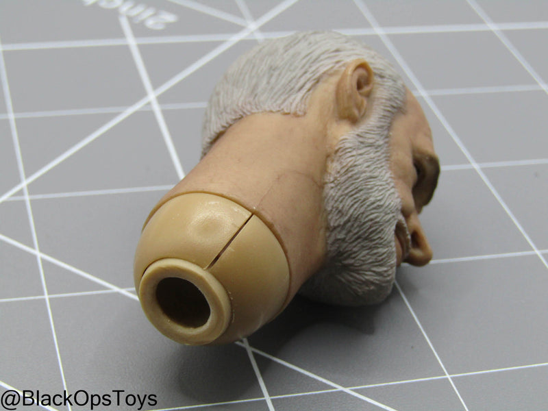 Load image into Gallery viewer, Indiana Jones - Henry Jones Sr. Male Headsculpt
