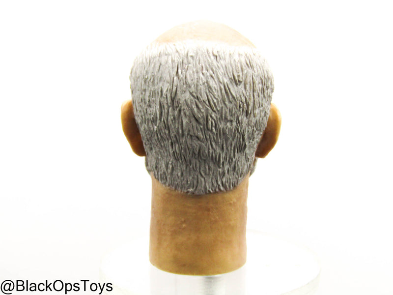 Load image into Gallery viewer, Indiana Jones - Henry Jones Sr. Male Headsculpt
