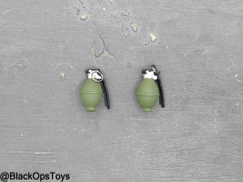 Load image into Gallery viewer, Vietnam US Army Lt. Col. Moore - Metal Grenades (x2)
