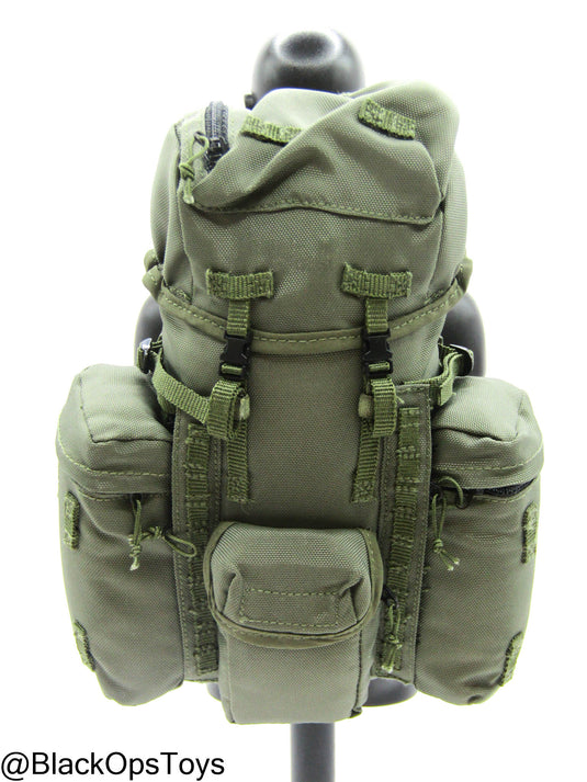 Bravo Two Zero - SAS Gunner - OD Green PLCE Rucksack
