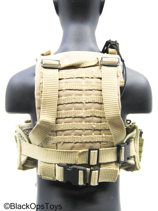 AOR1 MOLLE Camo Plate Carrier Vest w/Black Radio & Gear Set