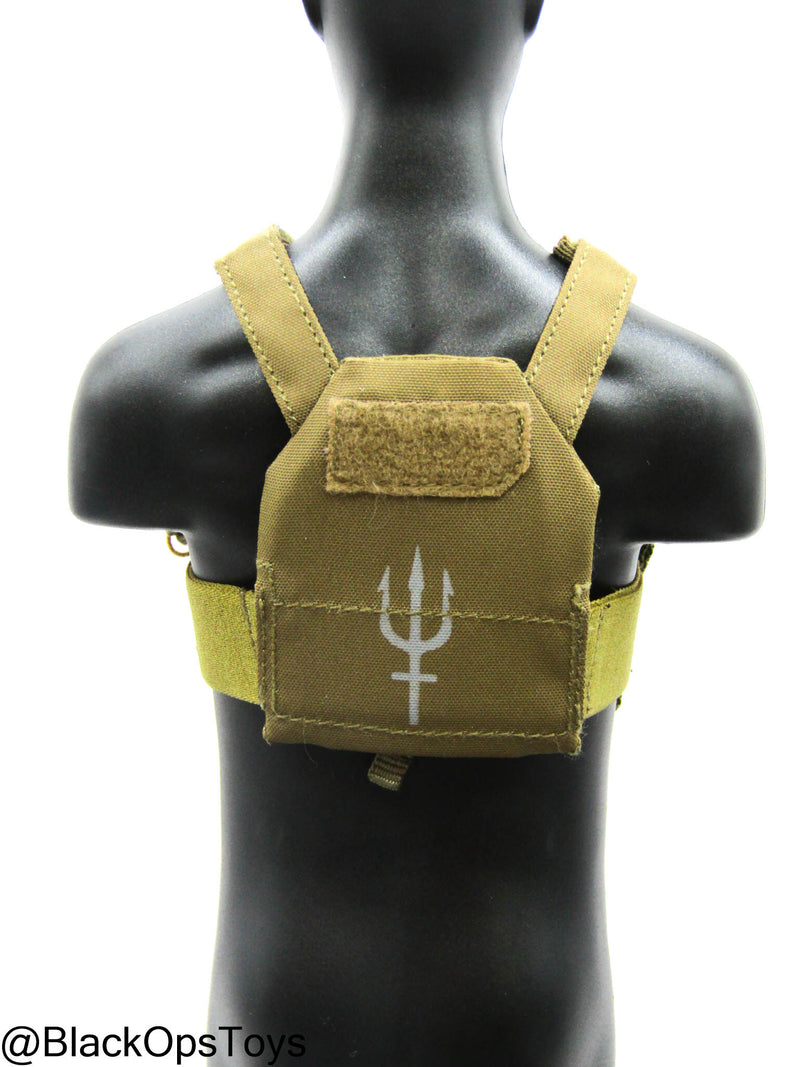 Load image into Gallery viewer, PMC - Weapon Specialist - FDE Tan Plate Carrier

