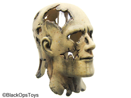 Terminator T-600 Weathered Human-Like Face Mask (Hot Toys)
