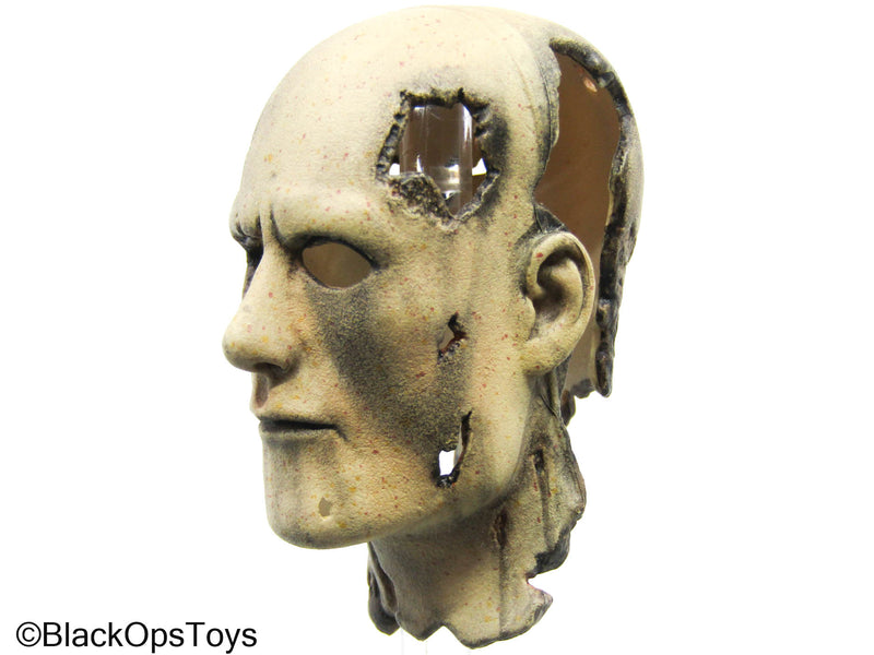Load image into Gallery viewer, Terminator T-600 Weathered Human-Like Face Mask (Hot Toys)
