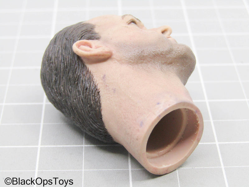 Load image into Gallery viewer, Punisher Headsculpt In Ray Stevenson Likeness (Art Figures)
