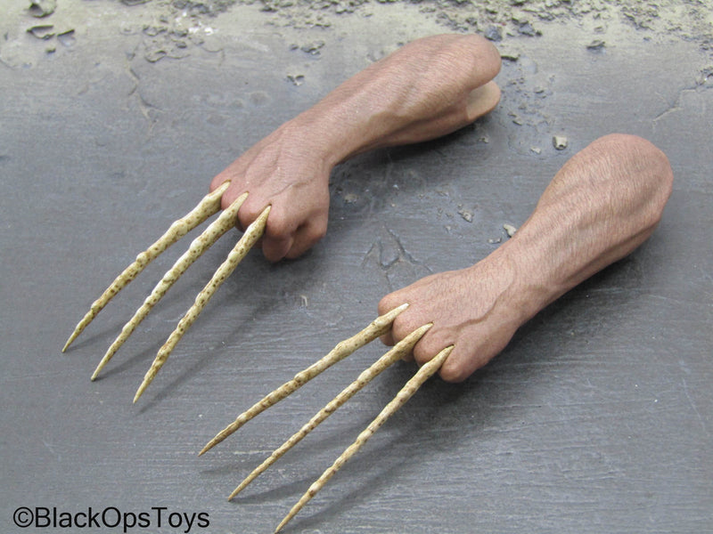 Load image into Gallery viewer, X-Men Days Of Future Past 1973 Wolverine - Male Bone Claw Arms
