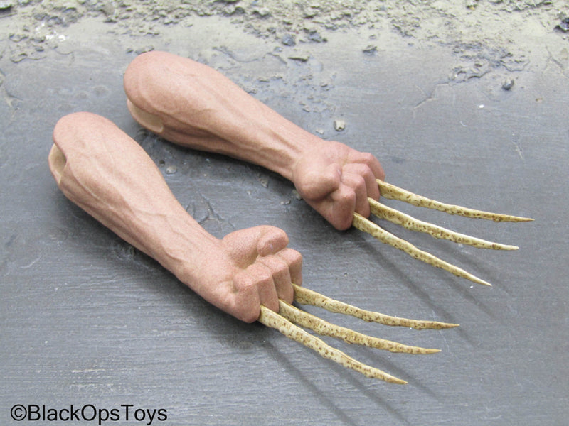 Load image into Gallery viewer, X-Men Days Of Future Past 1973 Wolverine - Male Bone Claw Arms
