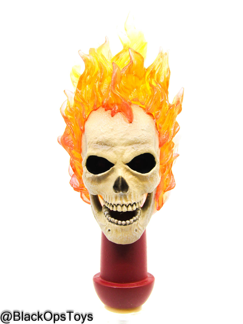 Load image into Gallery viewer, Ghost Rider Headsculpt w/Hell Cycle (Hot Toys) (READ DESC)
