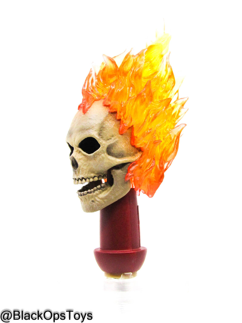 Load image into Gallery viewer, Ghost Rider Headsculpt w/Hell Cycle (Hot Toys) (READ DESC)
