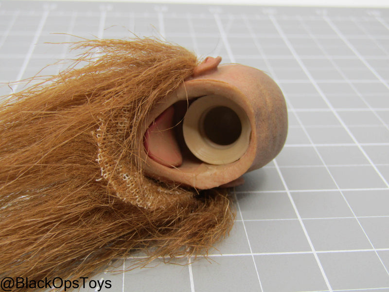 Load image into Gallery viewer, Male Viking Headsculpt w/Red Beard
