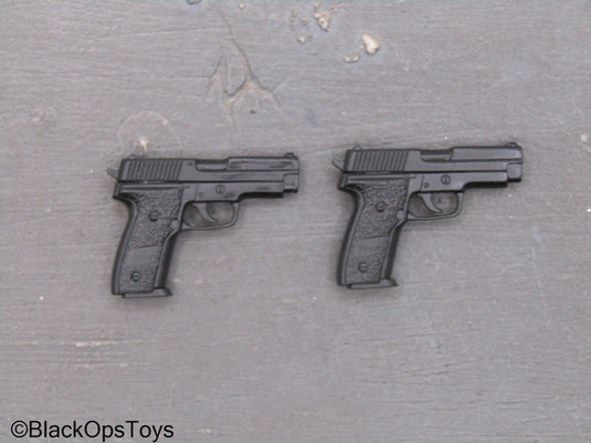 SIG Pistols (x2)