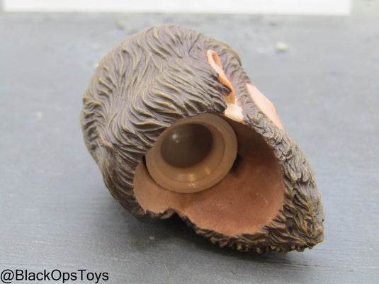 Male Headsculpt