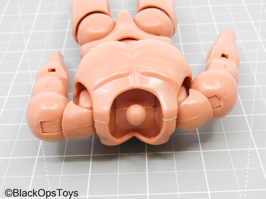 Male Base Body (BBI)