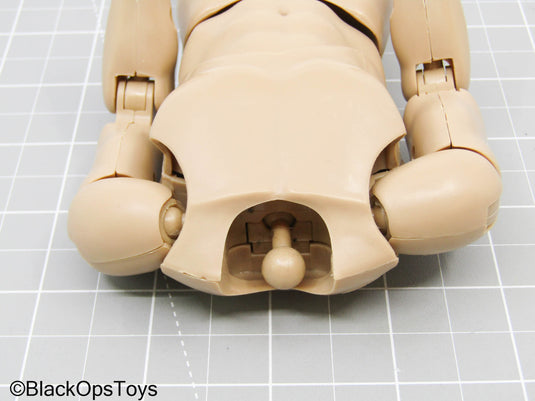 Male Base Body (Ace Toys)