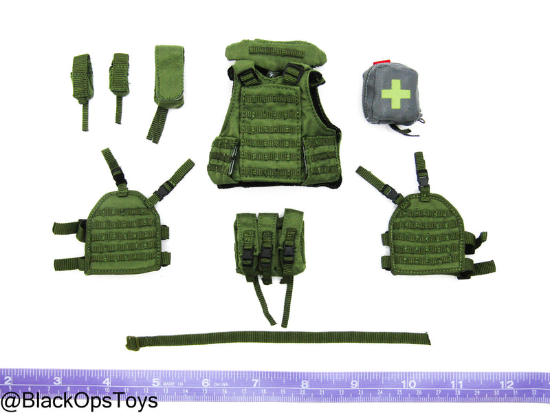 Load image into Gallery viewer, The Division 2 - Heather Ward - Female MOLLE Plate Carrier w/Pouch Set
