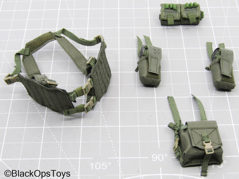 Load image into Gallery viewer, OD Green Chest Rig w/Pouch Lot
