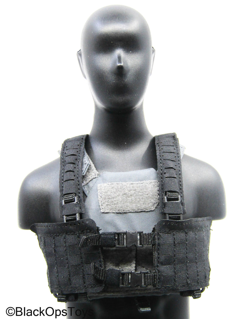 Load image into Gallery viewer, Grey Trident Logo Slick Plate Carrier w/Chest Rig &amp; Pouch Set
