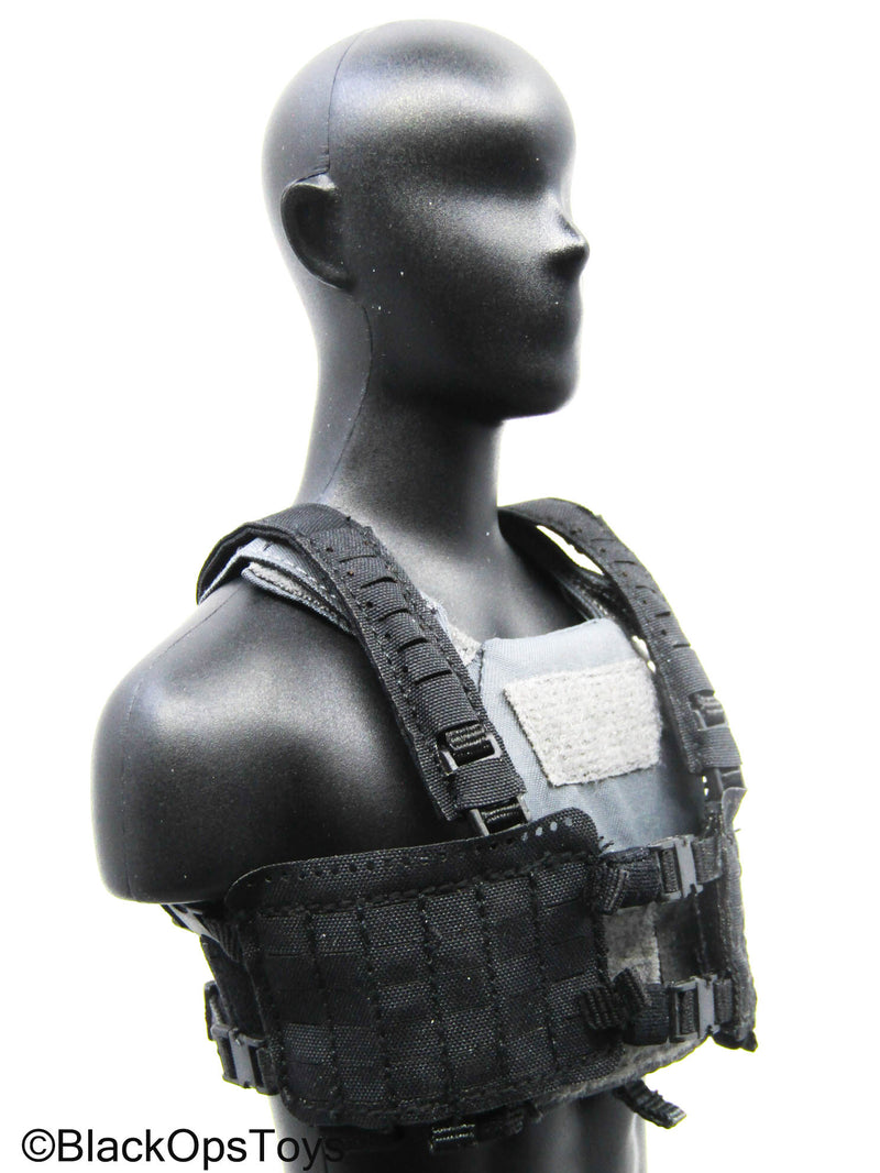 Load image into Gallery viewer, Grey Trident Logo Slick Plate Carrier w/Chest Rig &amp; Pouch Set
