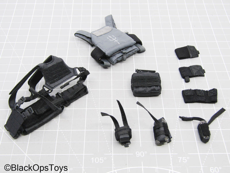 Load image into Gallery viewer, Grey Trident Logo Slick Plate Carrier w/Chest Rig &amp; Pouch Set
