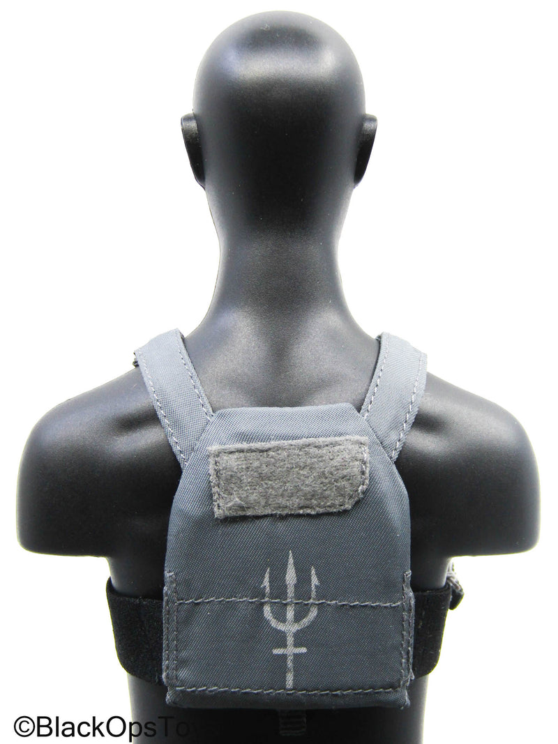 Load image into Gallery viewer, Grey Trident Logo Slick Plate Carrier w/Chest Rig &amp; Pouch Set

