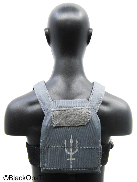 Grey Trident Logo Slick Plate Carrier w/Chest Rig & Pouch Set